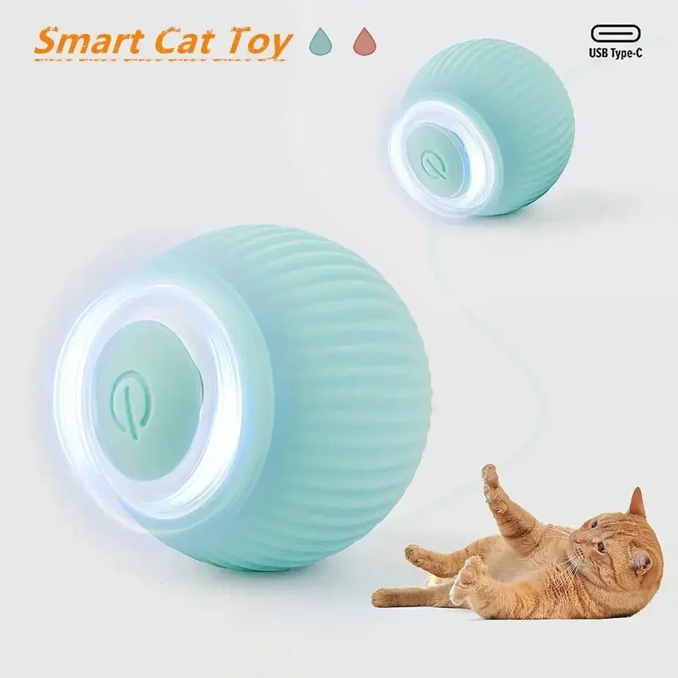 SMART Rolling Cat Ball  :)